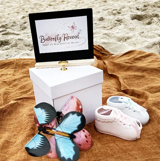 Butterfly Explosion Box