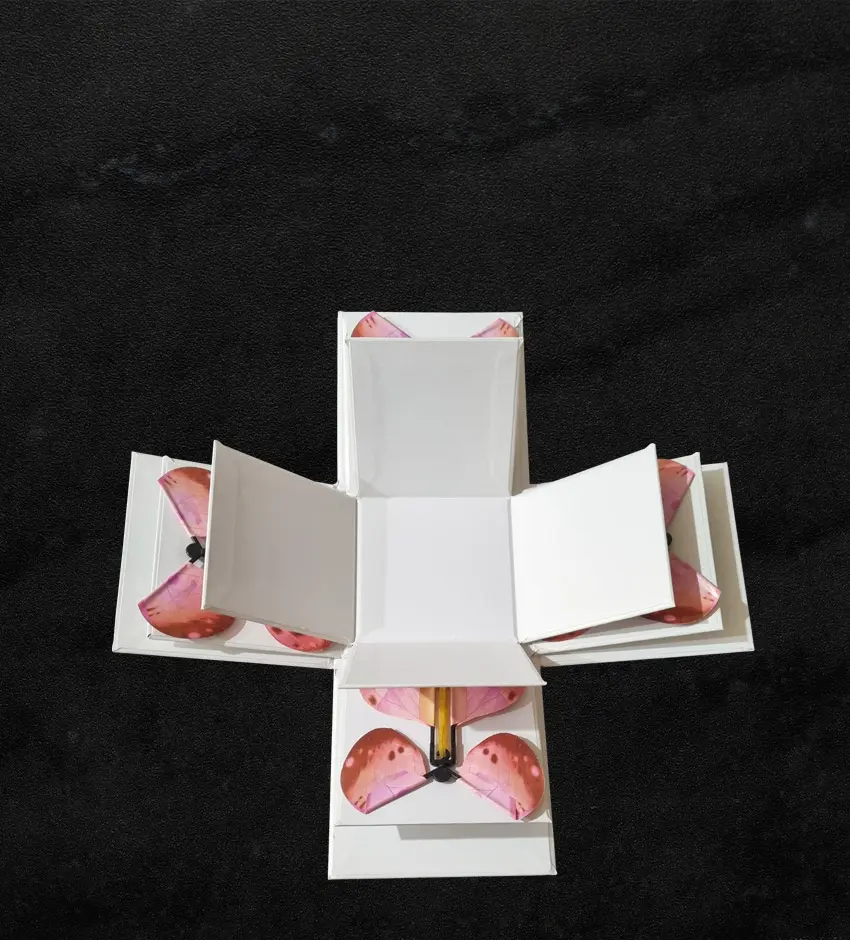 4 Butterflies