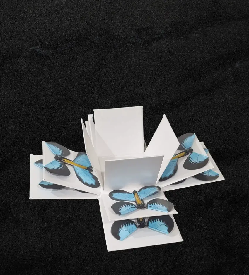 8 Butterflies