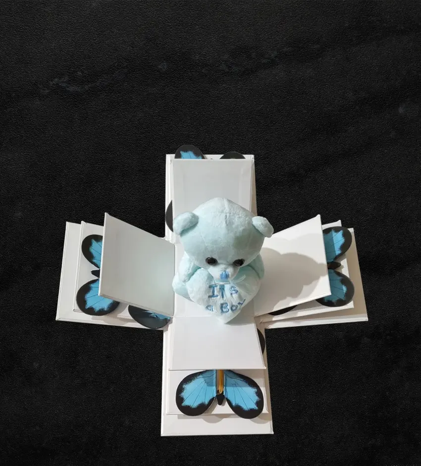 4 Butterflies with teddy