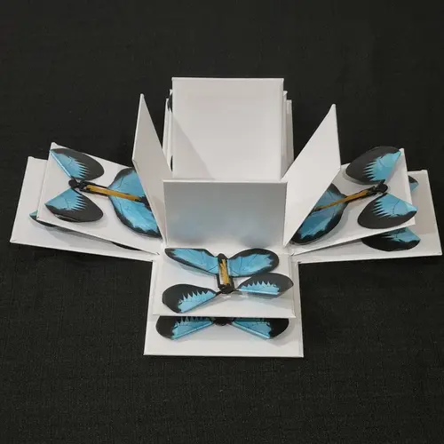 4. Box with 8 Blue Butterflies thumbnail