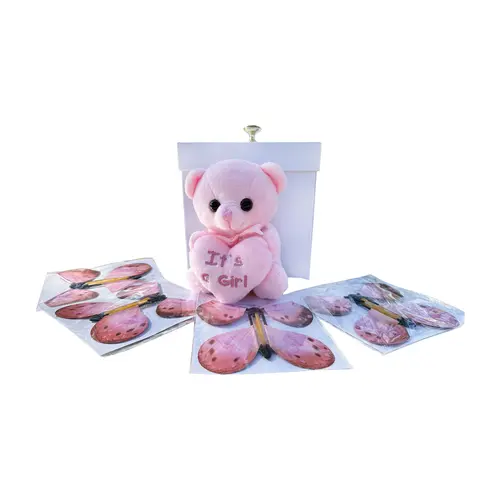 DIY Box with 4 Pink or Blue Butterflies and Teddy