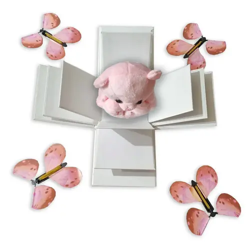 1. DIY Box with 4 Pink or Blue Butterflies and Teddy thumbnail